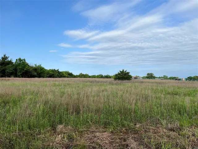 a view of backyard with green space