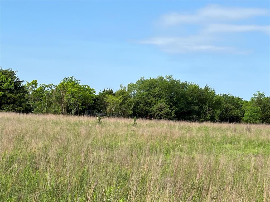 3605 County Road 1108 Celeste, TX 75423 - Photo 3 of 9