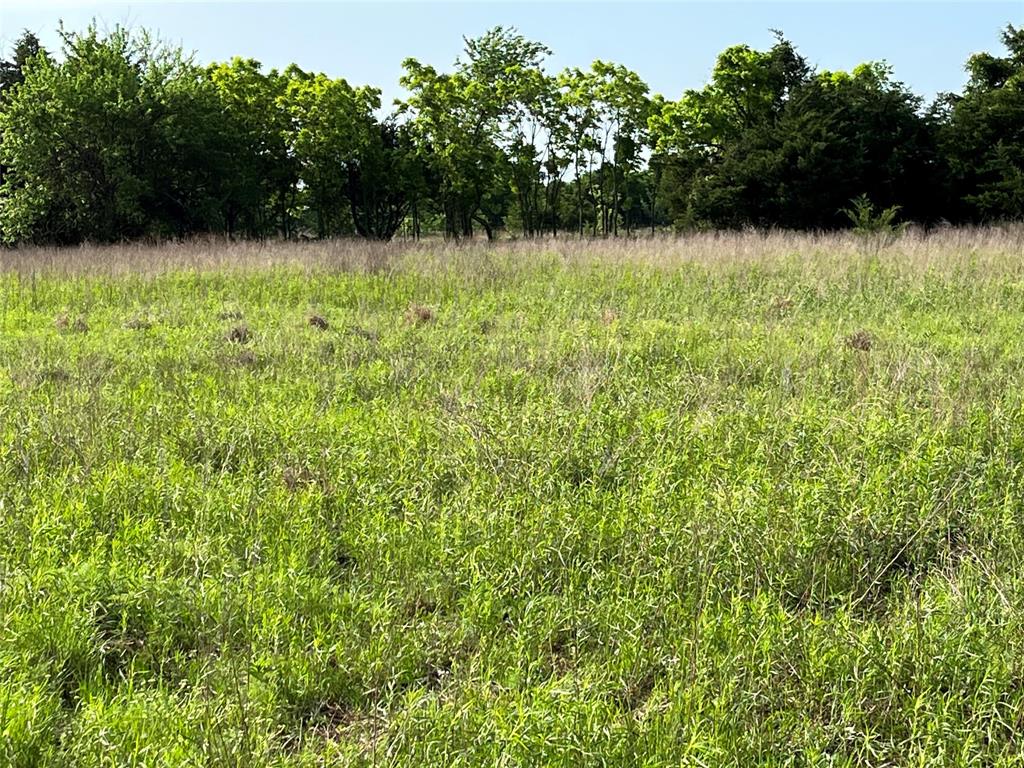 3605 County Road 1108 Celeste, TX 75423 - Photo 4 of 9 a view of backyard with green space