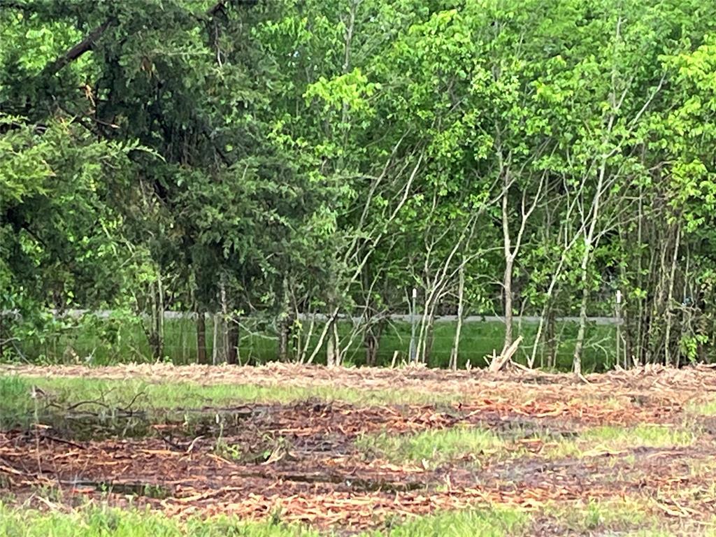 3605 County Road 1108 Celeste, TX 75423 - Photo 6 of 9 a view of backyard with wooden fence