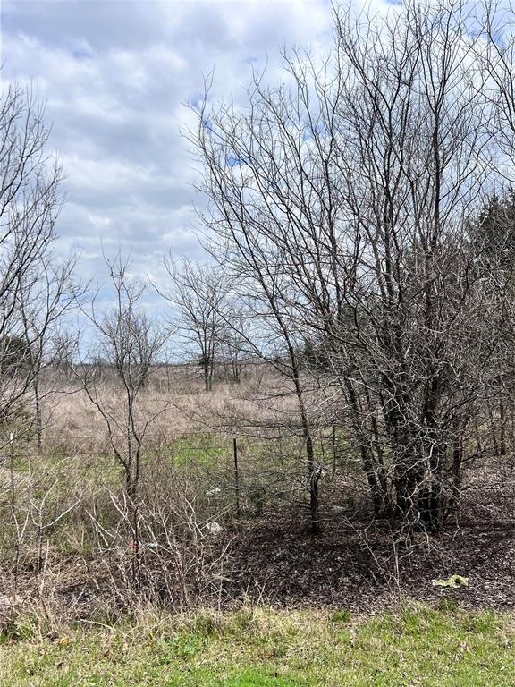 3605 County Road 1108 Celeste, TX 75423 - Photo 7 of 9 a view of a yard