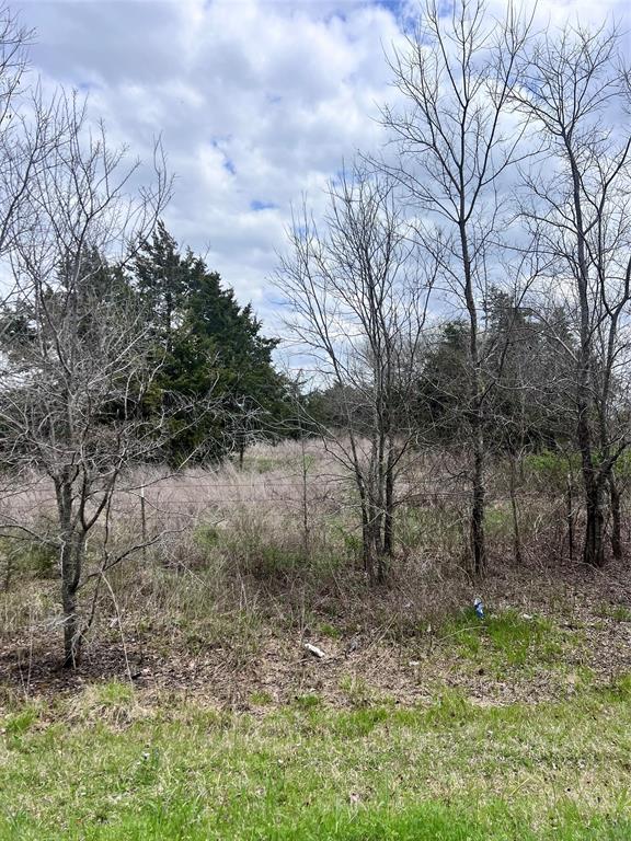 3605 County Road 1108 Celeste, TX 75423 - Photo 8 of 9 a backyard of a house with lots of green space