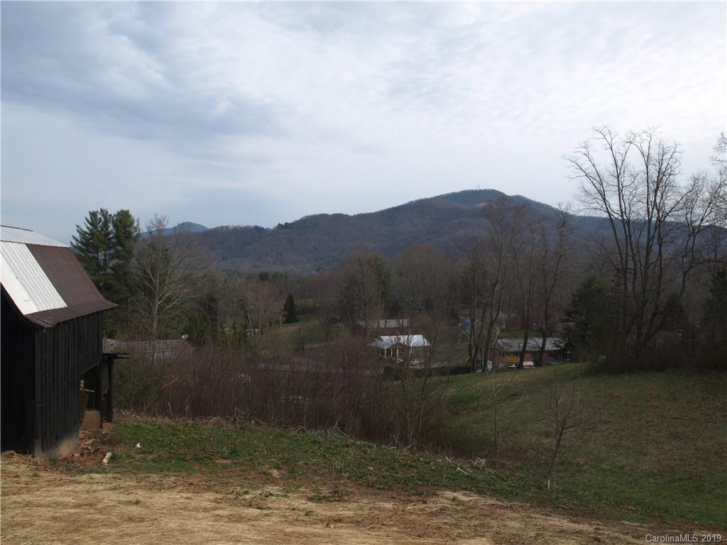 198 Ingram Loop Clyde, NC 28721 - Photo 7 of 26