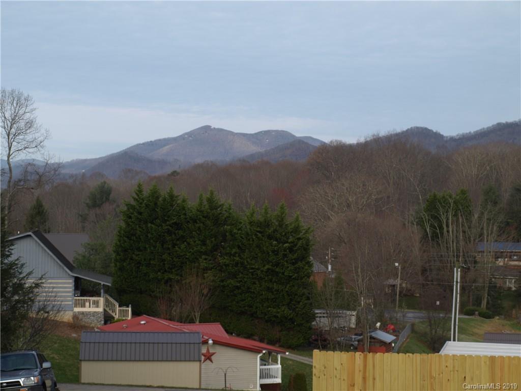 198 Ingram Loop Clyde, NC 28721 - Photo 8 of 26