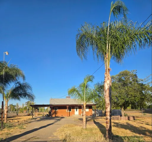 a palm tree sitting in front of a house with a yard