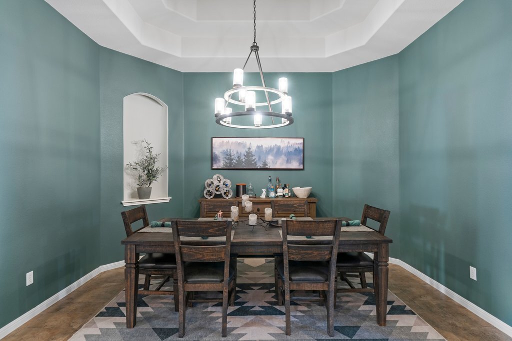 2902 Tempe Drive Cedar Park, TX 78641 - Photo 16 of 38 Dining space with a tray ceiling and hanging lights