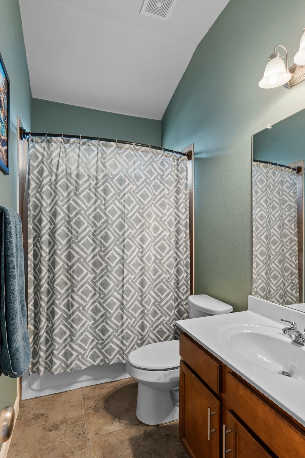 2902 Tempe Drive Cedar Park, TX 78641 - Photo 22 of 38 Bathroom with vanity, a shower with shower curtain, and lofted ceiling
