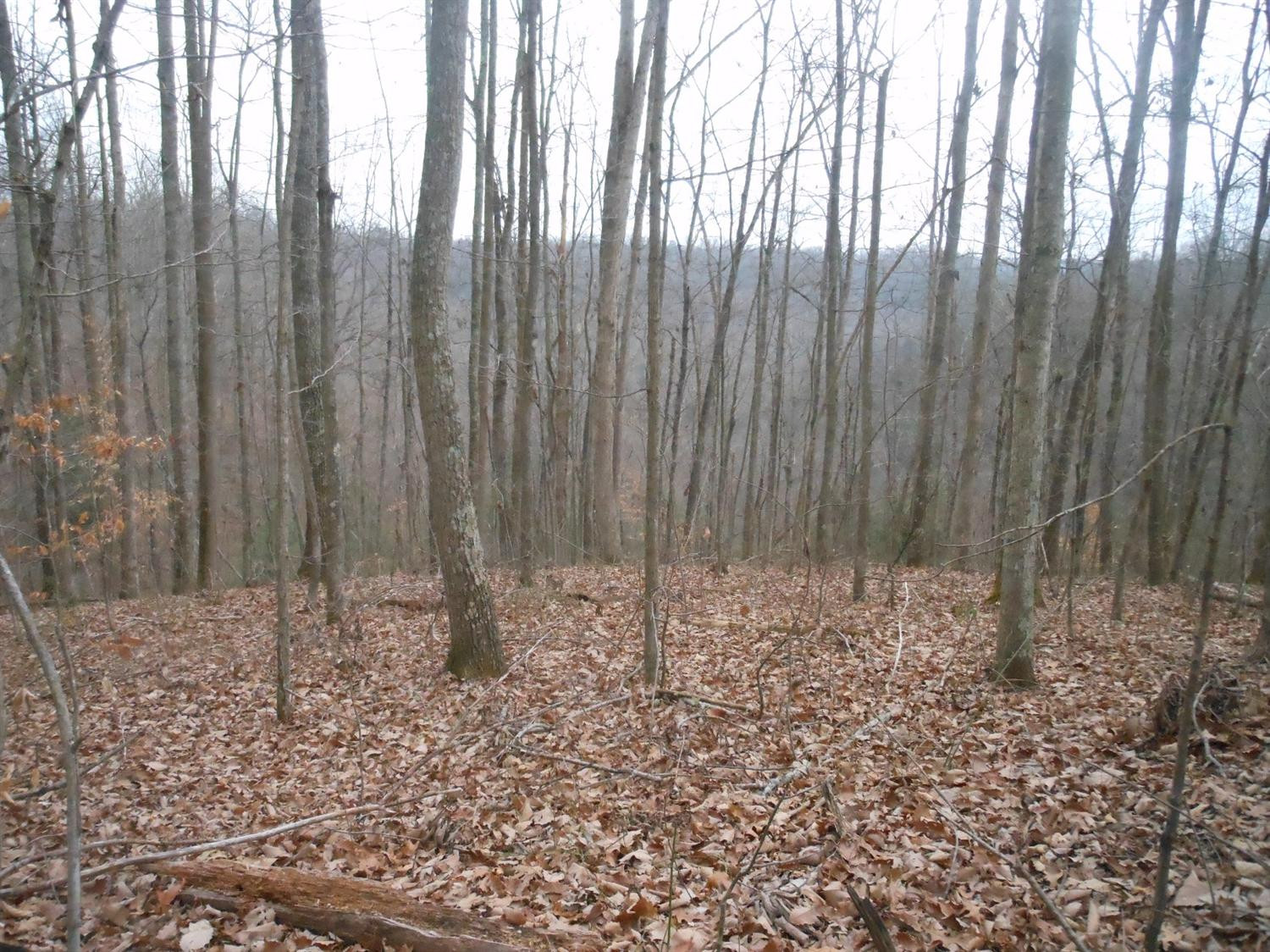 100 Amos Ridge Road Frenchburg, KY 40322 - Photo 10 of 11 Photo 10