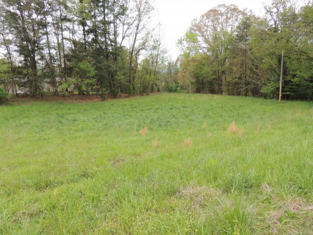 0 Ridge Street Surgoinsville, TN 37873 - Photo 3 of 4 Photo 3