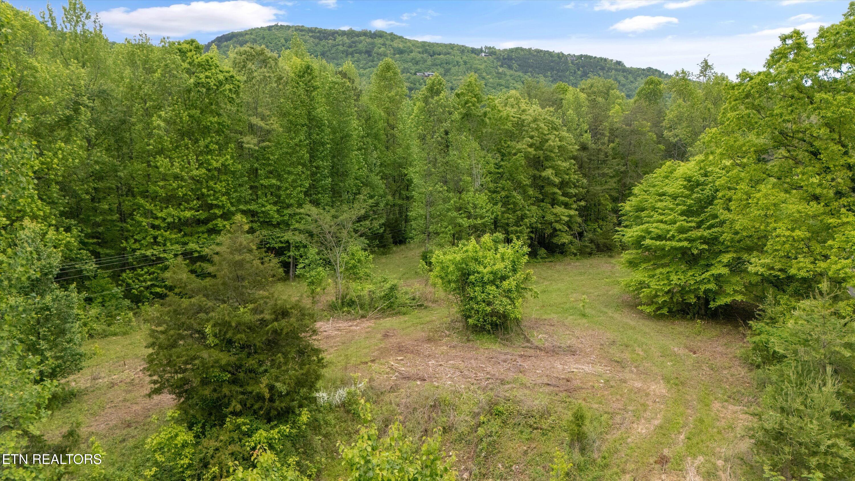 6028 Happy Valley Road Tallassee, TN 37878 - Photo 11 of 23 11-6010 Happy Valley Rd-08