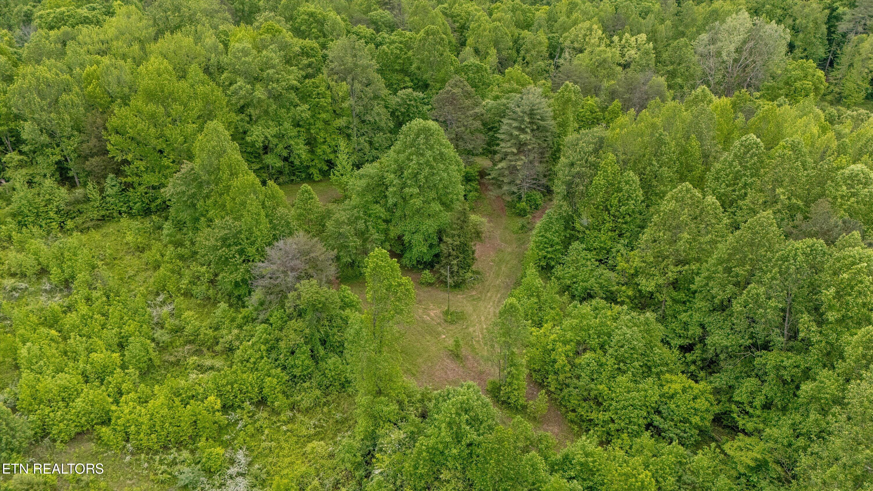 6028 Happy Valley Road Tallassee, TN 37878 - Photo 12 of 23 12-6010 Happy Valley Rd-10