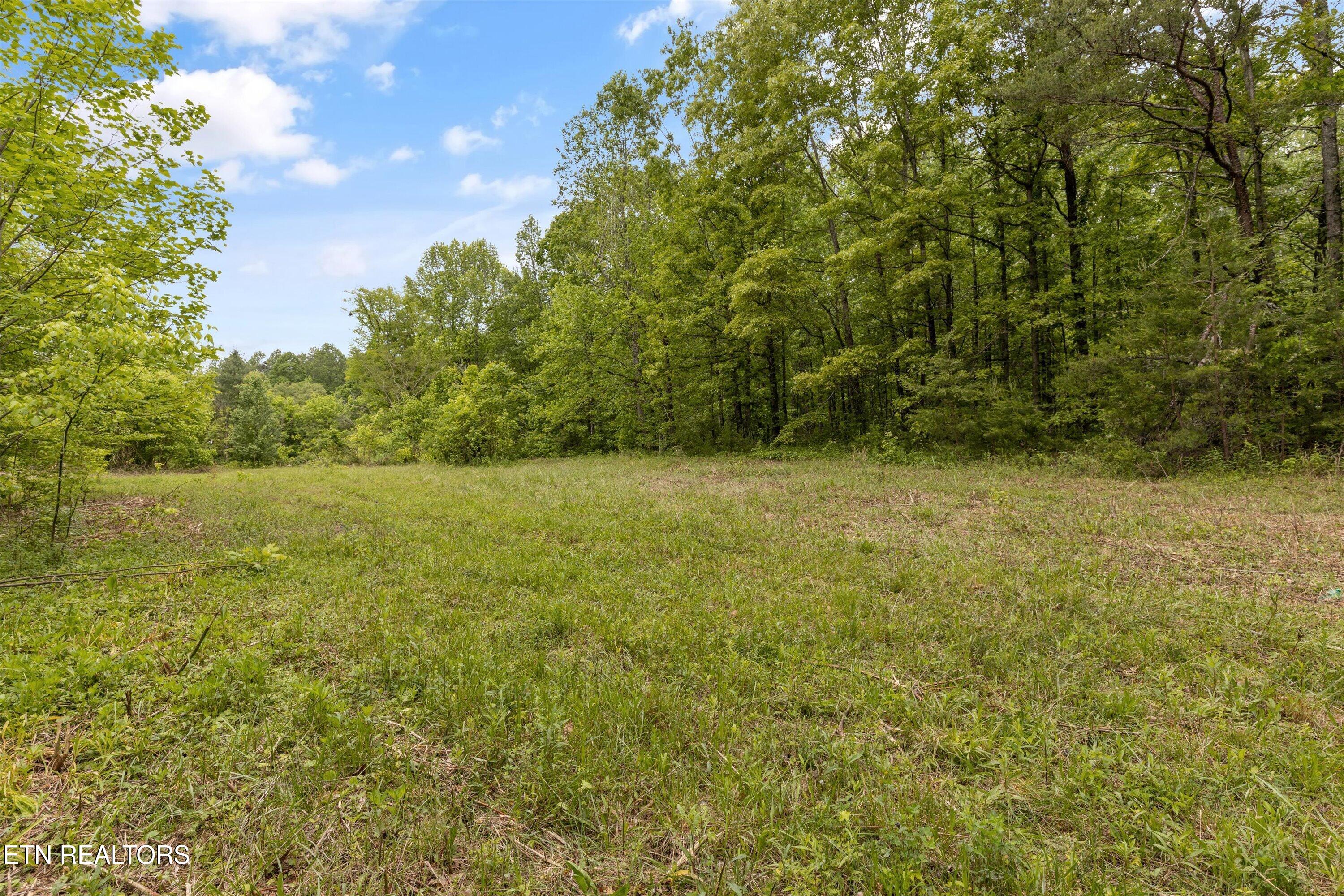 6028 Happy Valley Road Tallassee, TN 37878 - Photo 19 of 23 19-6010 Happy Valley Rd-17