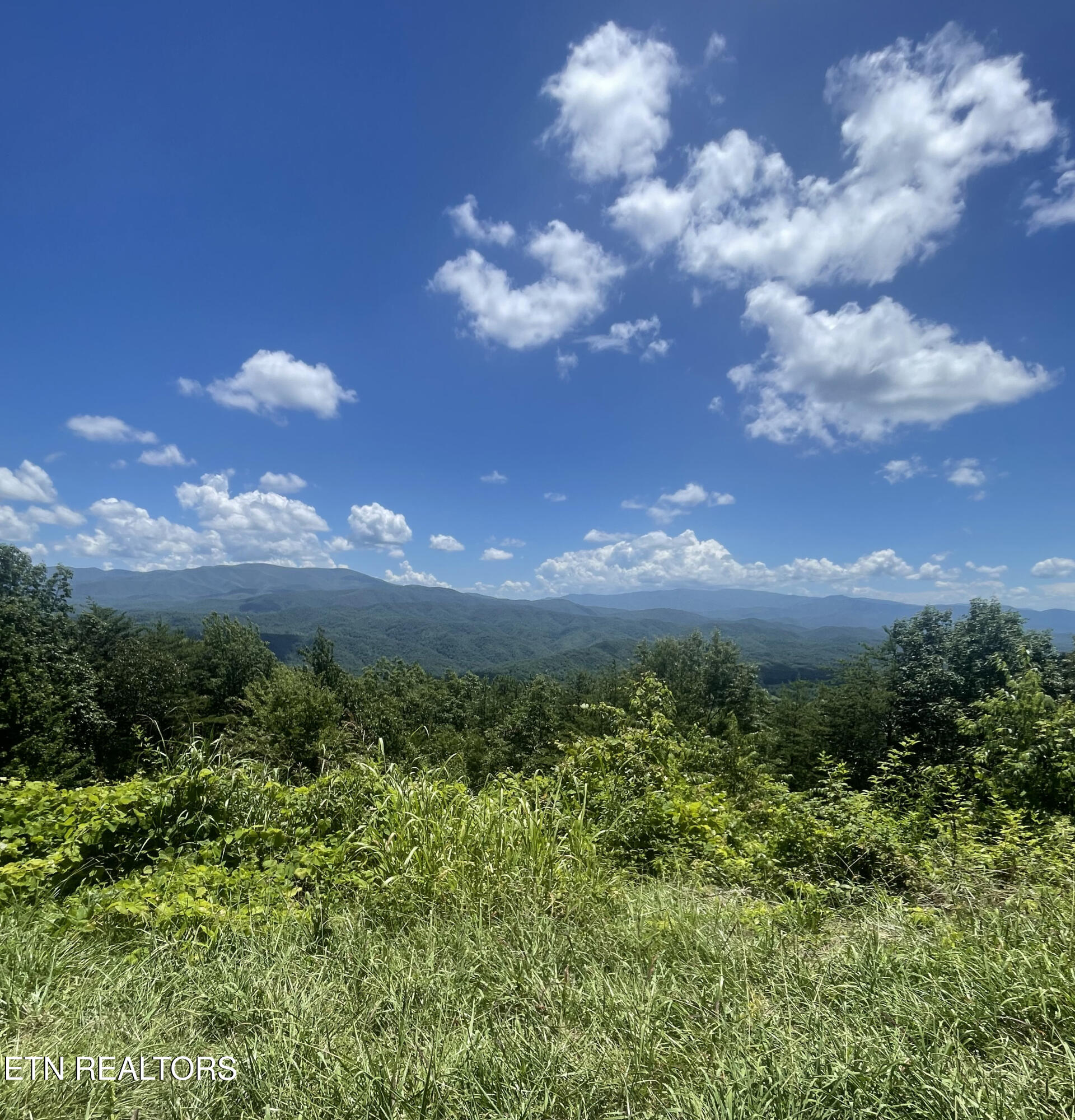 6028 Happy Valley Road Tallassee, TN 37878 - Photo 22 of 23 Happy Valley from Parkway