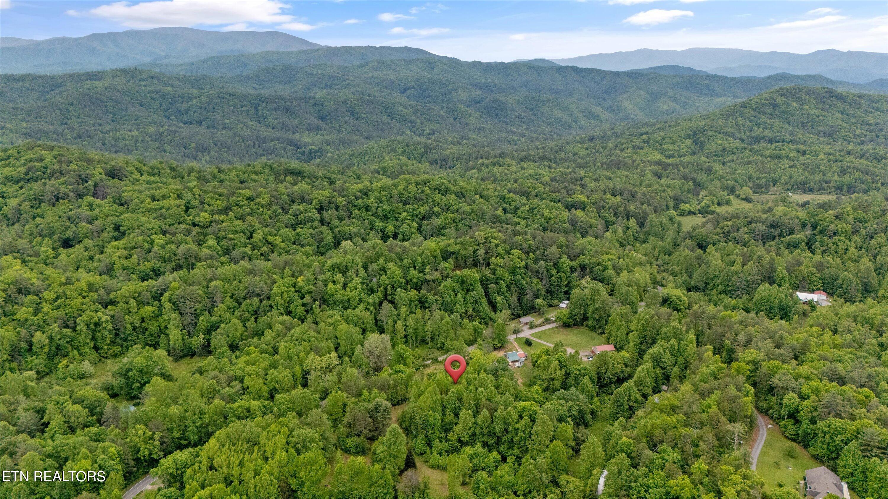 6028 Happy Valley Road Tallassee, TN 37878 - Photo 5 of 23 04-6010 Happy Valley Rd-03