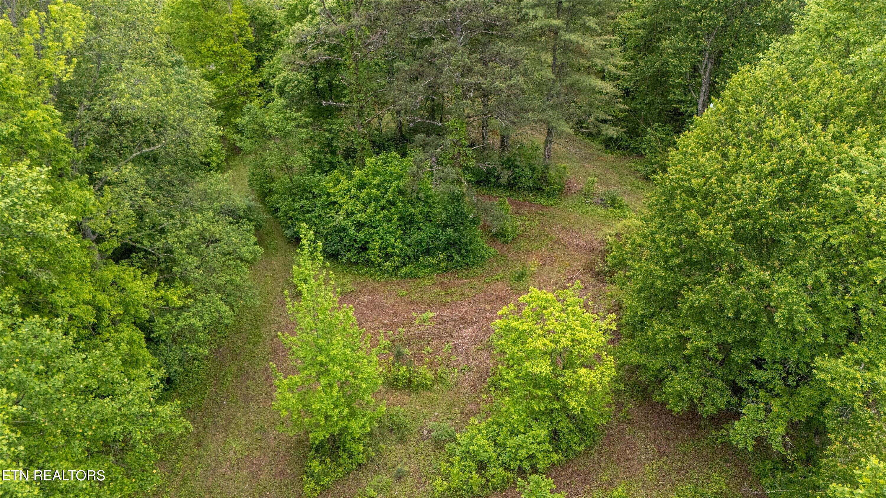 6028 Happy Valley Road Tallassee, TN 37878 - Photo 8 of 23 07-6010 Happy Valley Rd-05