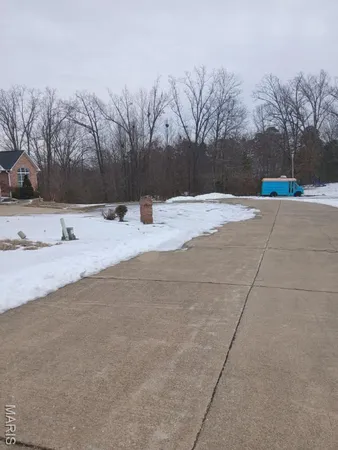 $24,999 | Tbd Renee Lane, Poplar Bluff, MO 63901