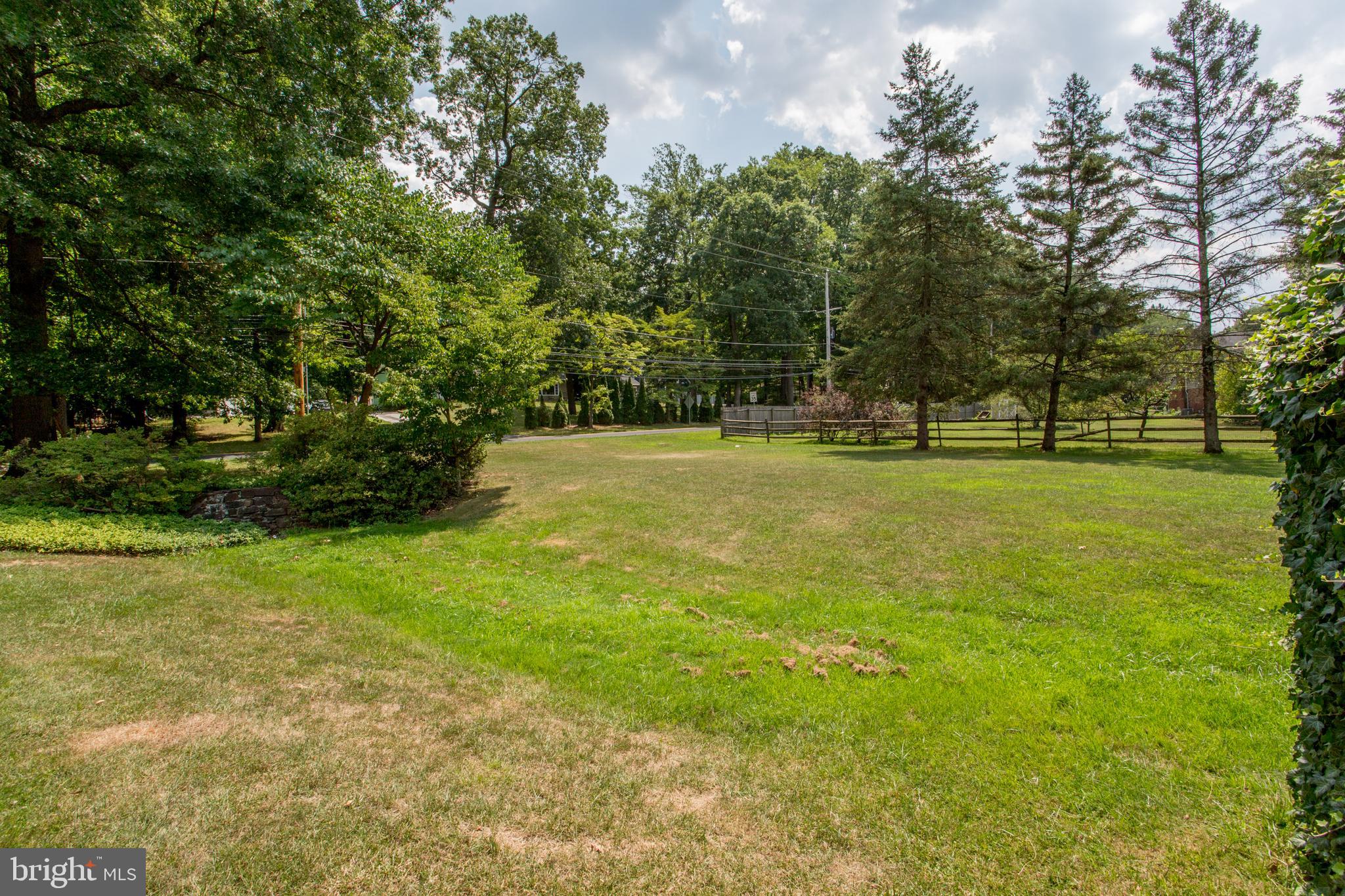 1166 East Sandy Ridge Road Doylestown, PA 18901 - Photo 34 of 48 Side Yard