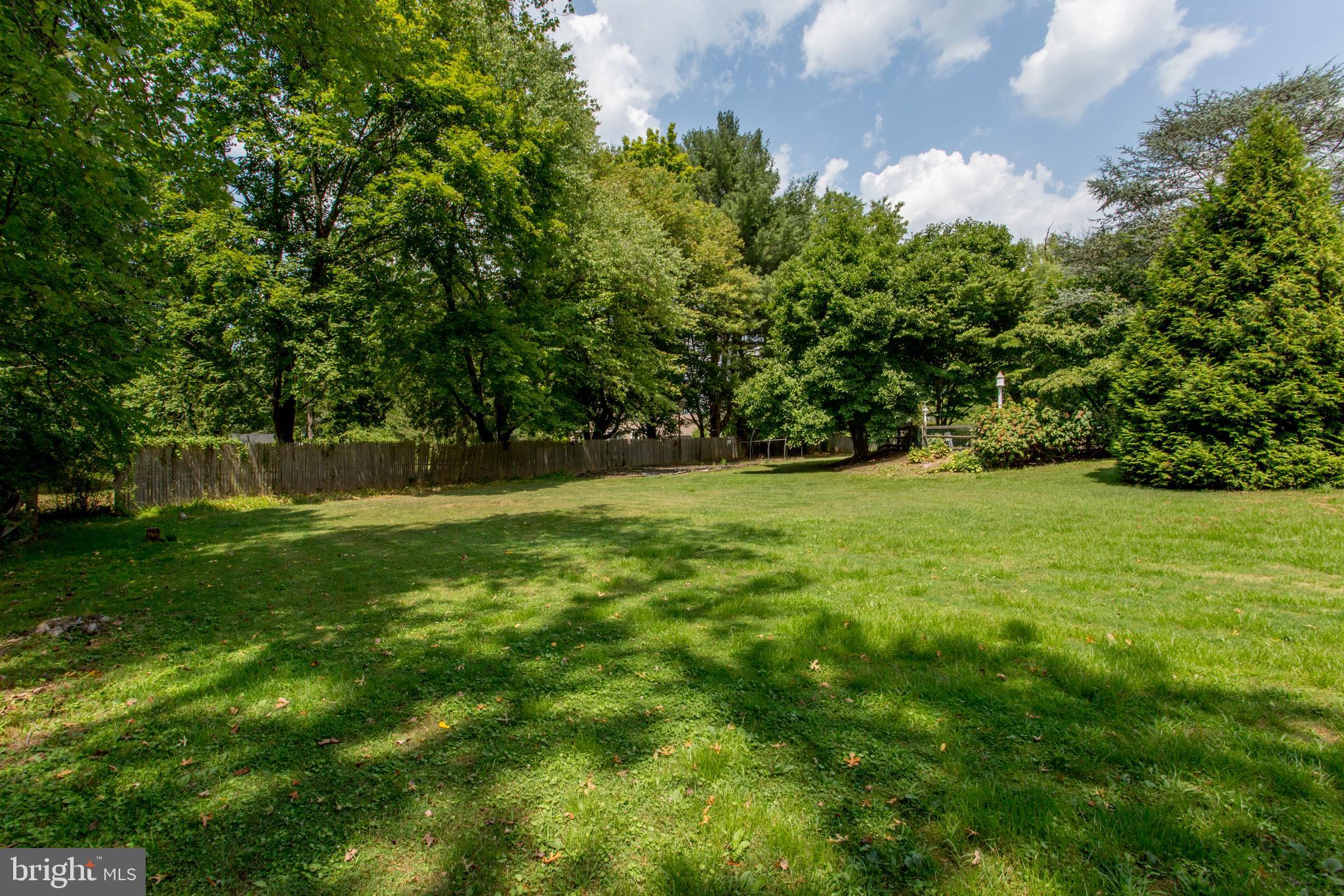 1166 East Sandy Ridge Road Doylestown, PA 18901 - Photo 35 of 48 Back Yard