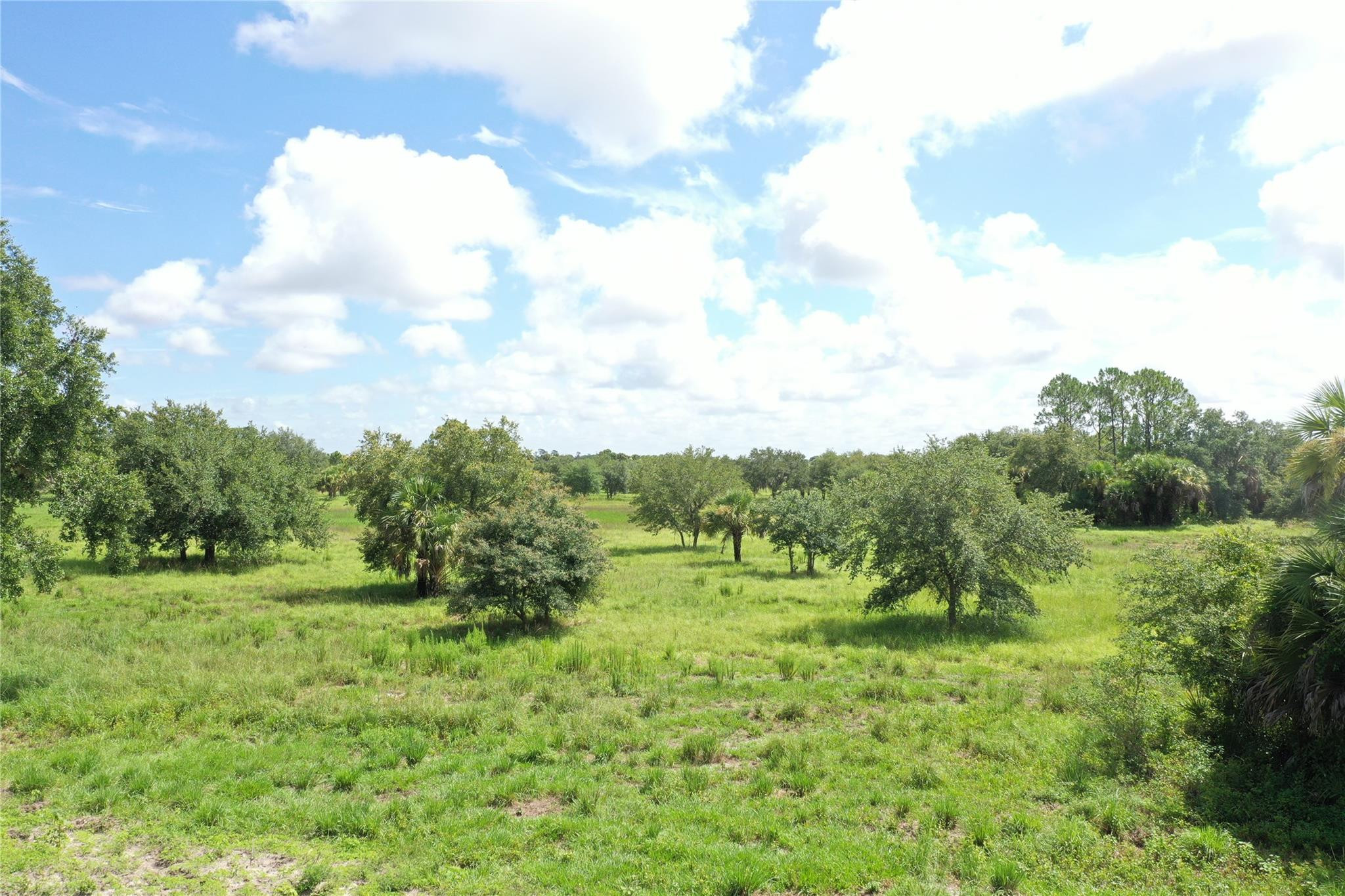 0 Co Road Clewiston, FL 33440 - Photo 11 of 40 Photo 4