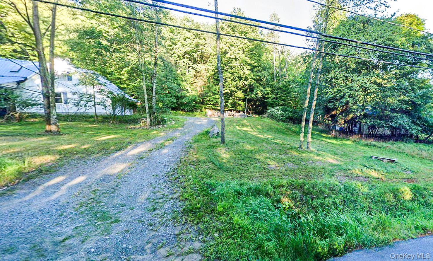 a backyard of a house with plants and large trees