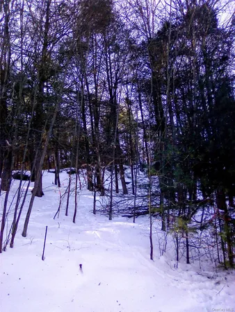 a view of white snow on a road