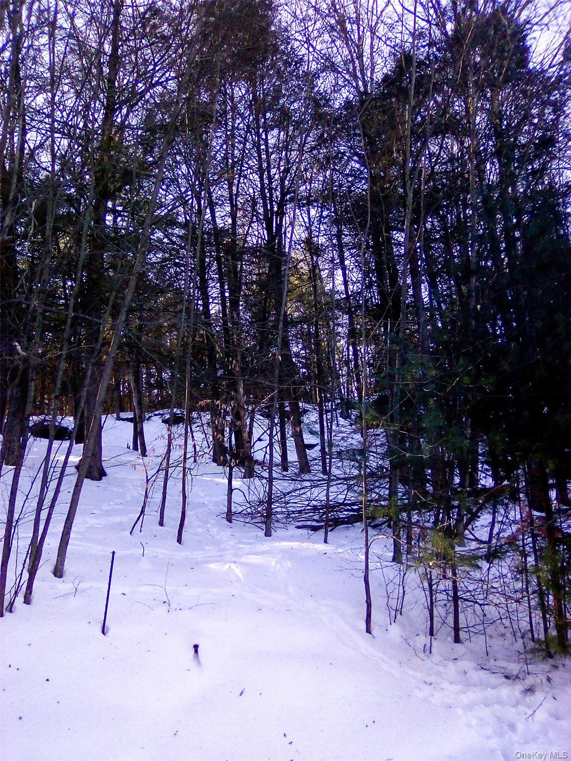 29 Schultz Road White Lake, NY 12786 - Photo 16 of 17 a view of outdoor space with seating