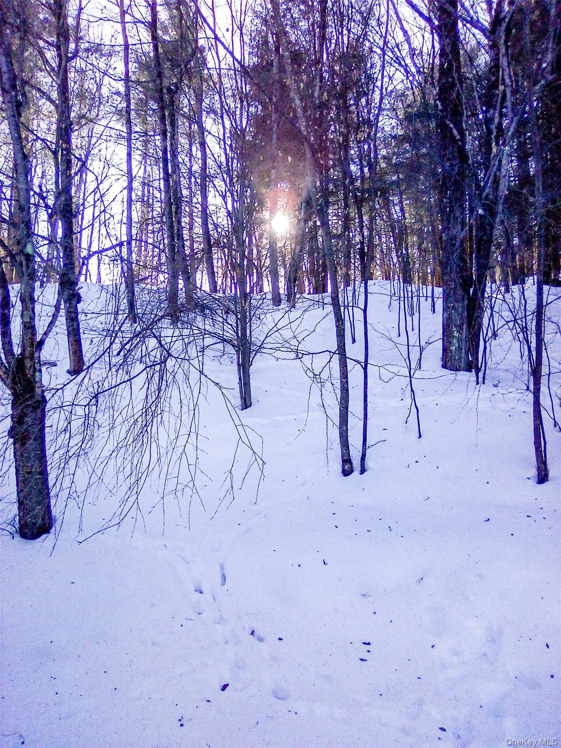 29 Schultz Road White Lake, NY 12786 - Photo 17 of 17 a view of white snow on a road