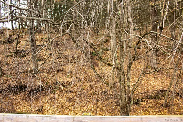 a picture of a tree