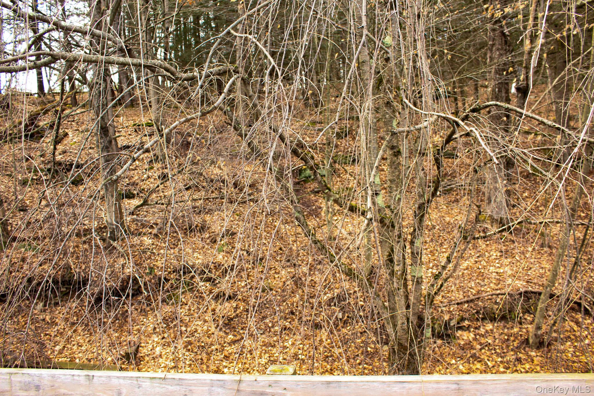 29 Schultz Road White Lake, NY 12786 - Photo 2 of 24 a picture of a tree