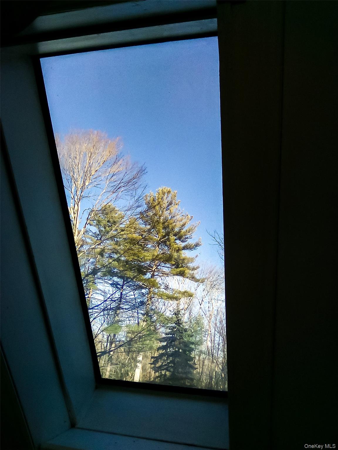 29 Schultz Road White Lake, NY 12786 - Photo 8 of 17 a view of a window