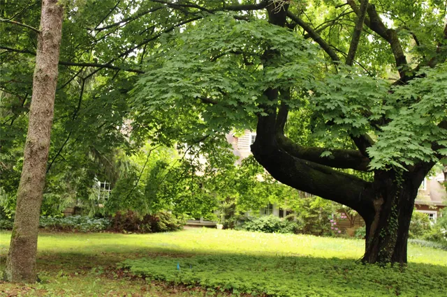 a view of outdoor space and yard