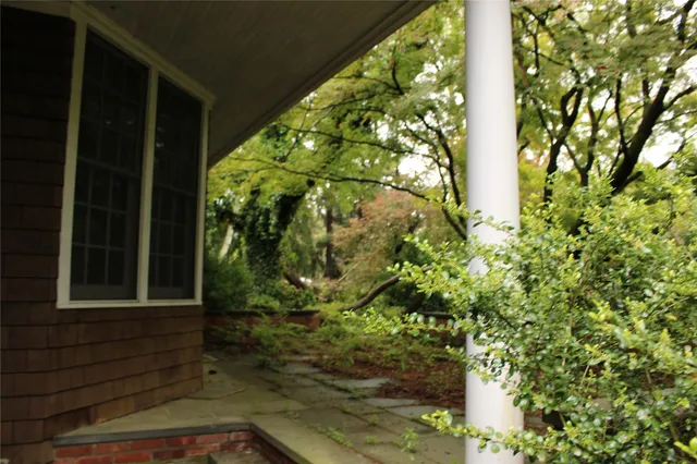 a view of a yard with plants and trees