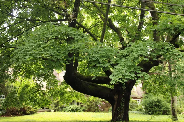 $2,750,000 | 7 Locust Lane, Glen Head, NY 11545