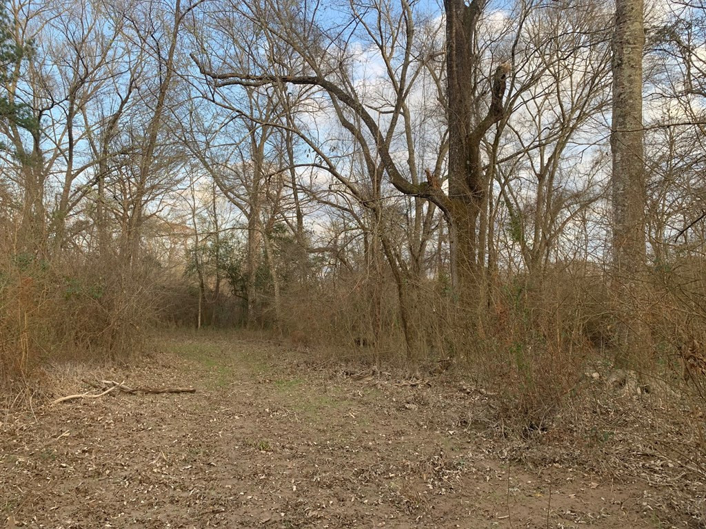 . Street Road Liberty, MS 39645 - Photo 11 of 22 Photo 11