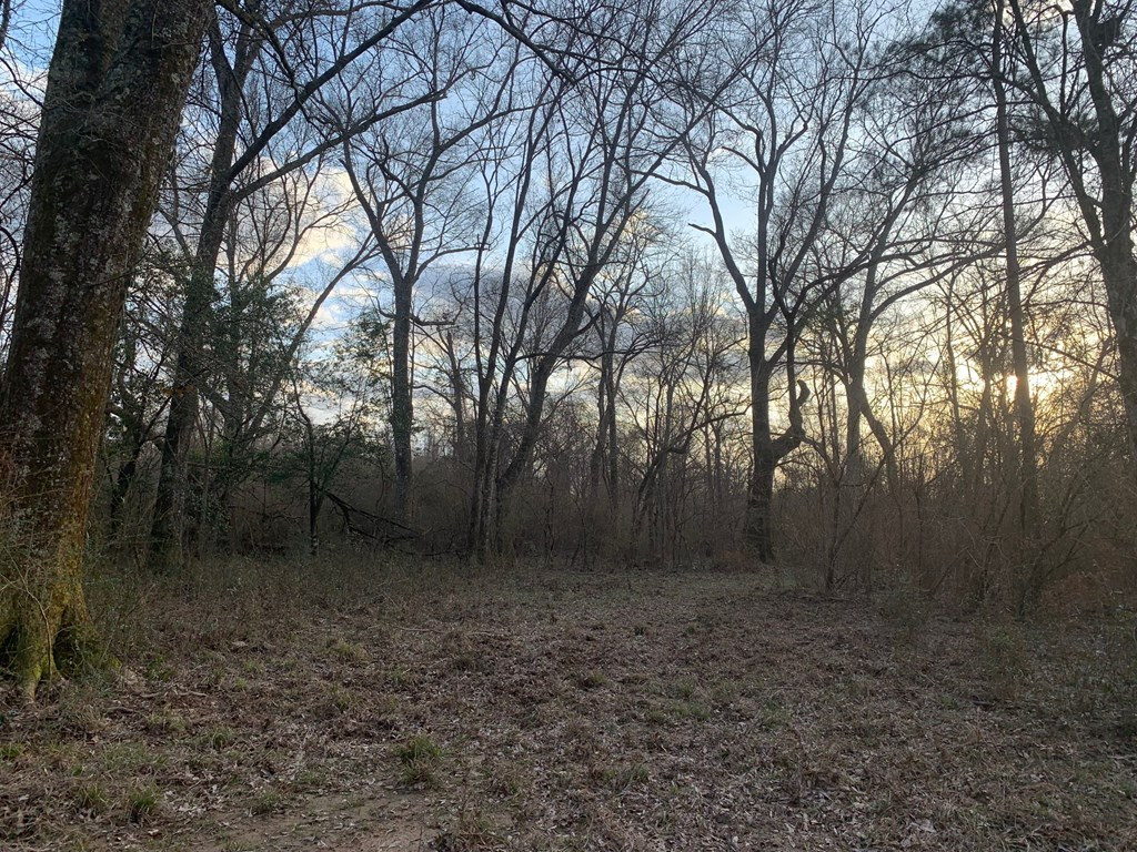 . Street Road Liberty, MS 39645 - Photo 15 of 22 Photo 15
