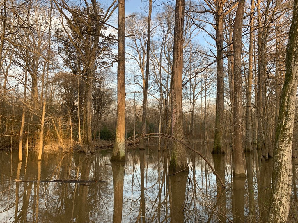 . Street Road Liberty, MS 39645 - Photo 19 of 22 Photo 19