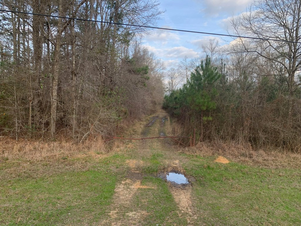 . Street Road Liberty, MS 39645 - Photo 2 of 22 Photo 2