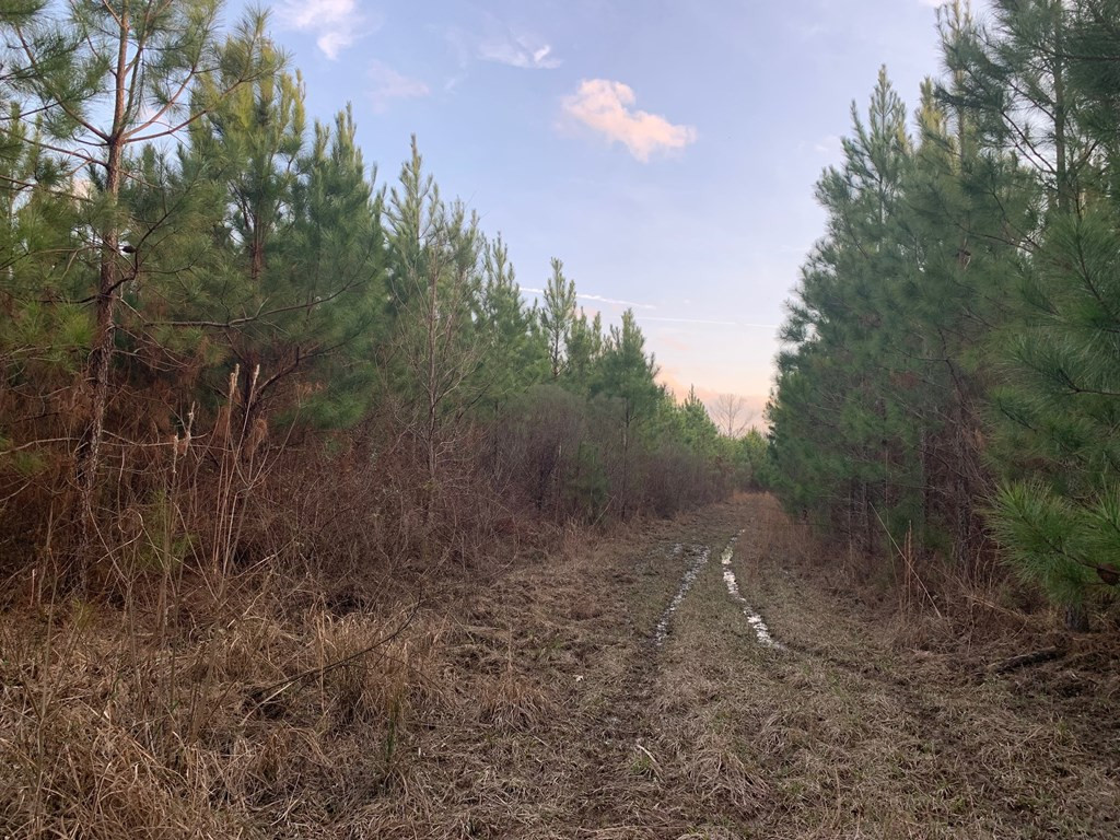 . Street Road Liberty, MS 39645 - Photo 21 of 22 Photo 21
