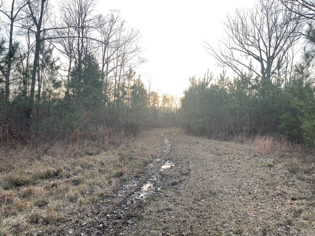. Street Road Liberty, MS 39645 - Photo 22 of 22 Photo 22