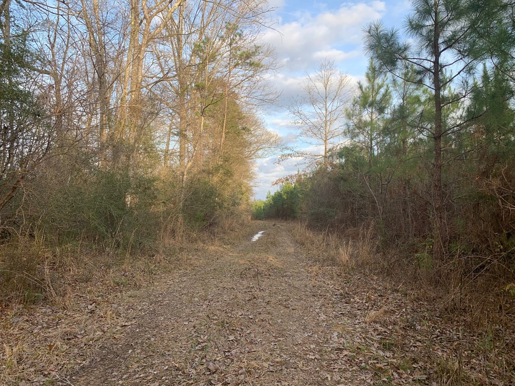 . Street Road Liberty, MS 39645 - Photo 3 of 22 Photo 3