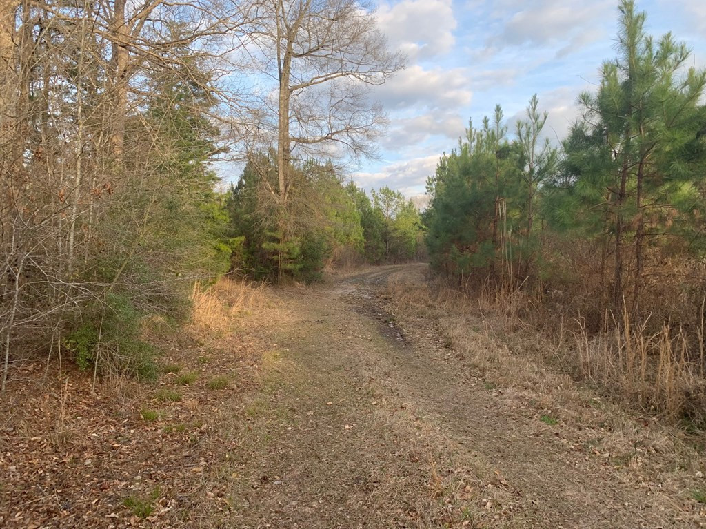 . Street Road Liberty, MS 39645 - Photo 4 of 22 Photo 4