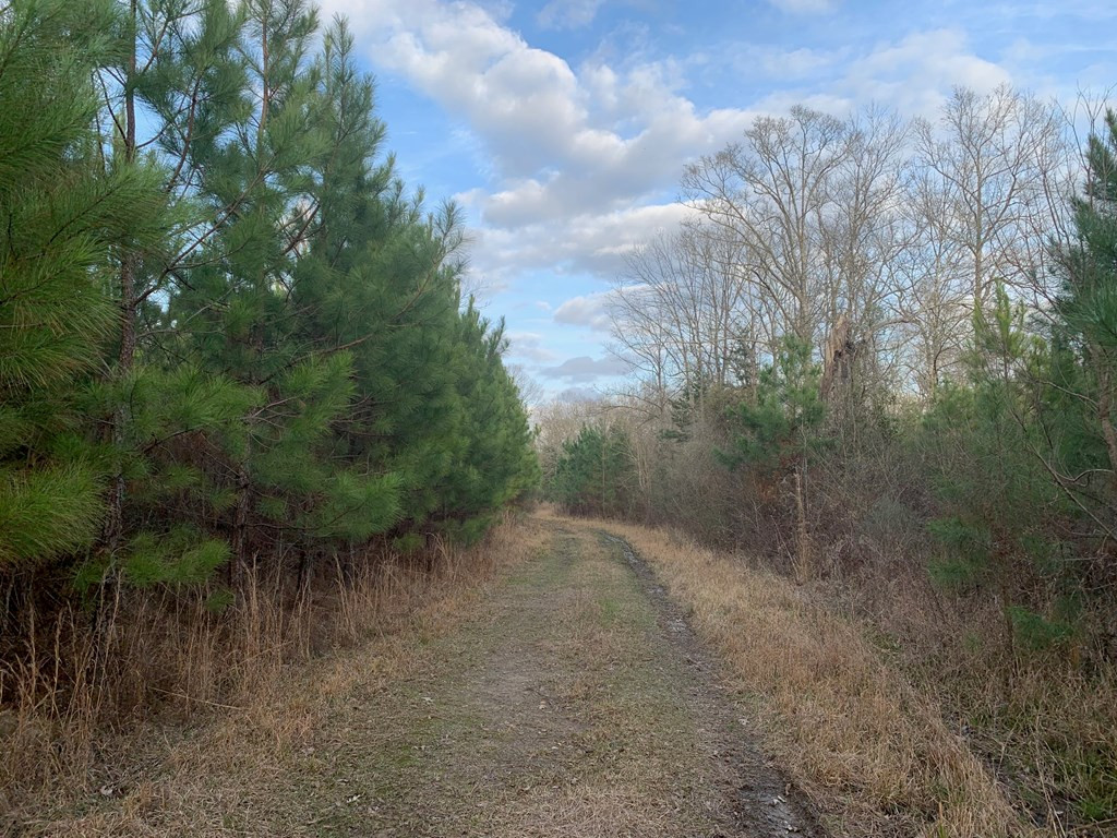 . Street Road Liberty, MS 39645 - Photo 5 of 22 Photo 5