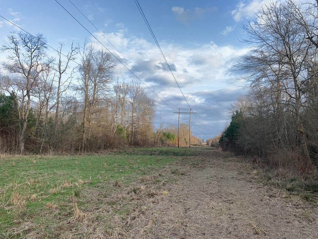 . Street Road Liberty, MS 39645 - Photo 8 of 22 Photo 8