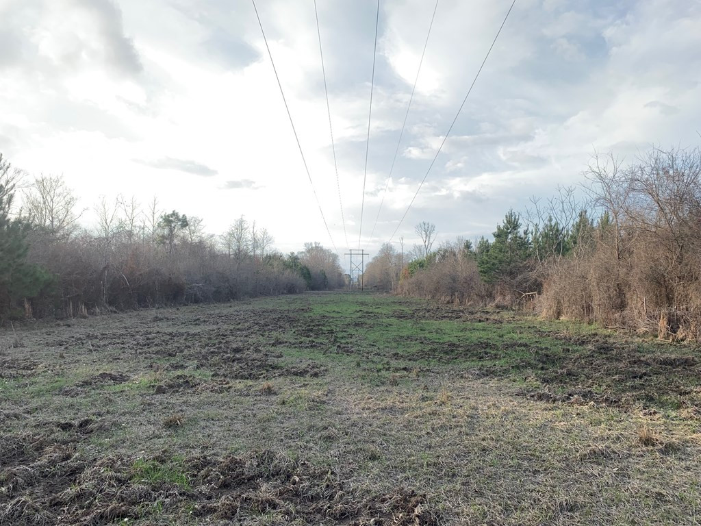 . Street Road Liberty, MS 39645 - Photo 10 of 22 Photo 10