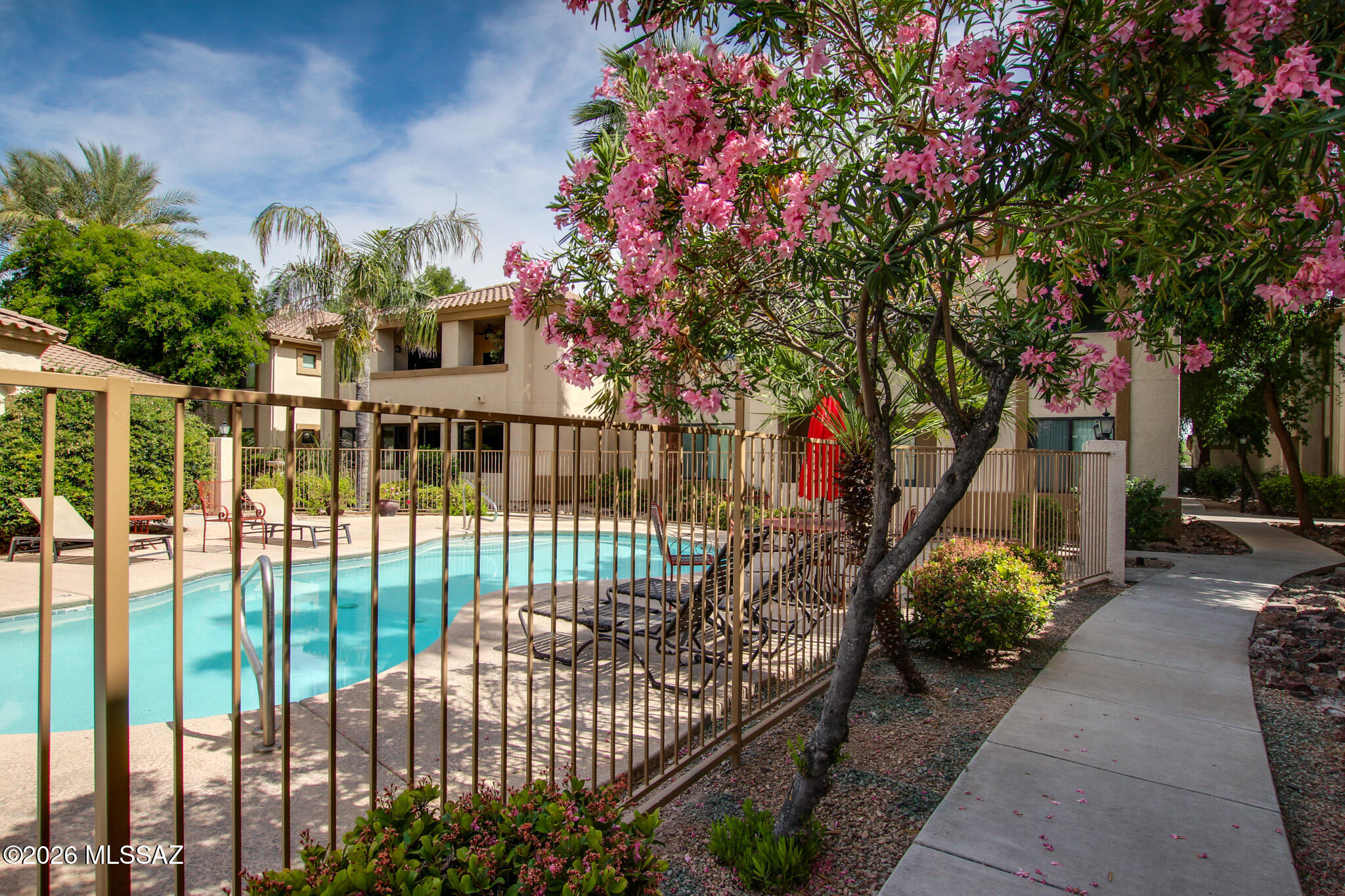 2550 East River Road, Unit 20305 Tucson, AZ 85718 - Photo 45 of 50