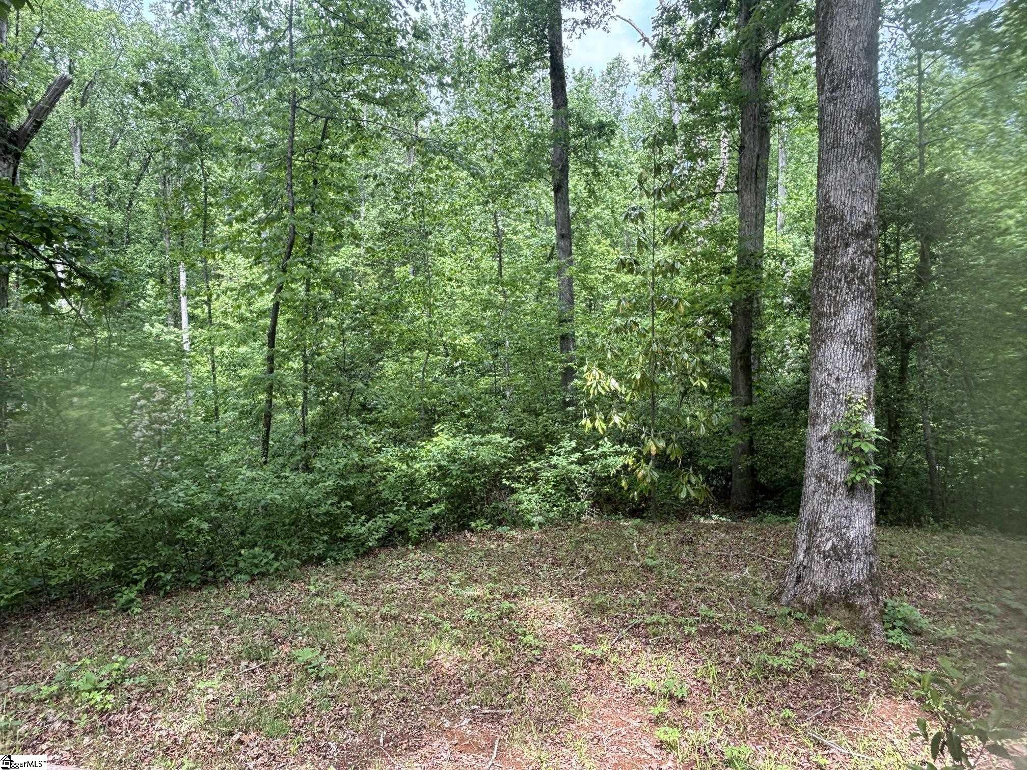 230 Enoree Road Travelers Rest, SC 29690 - Photo 17 of 25 Gallery Image 17