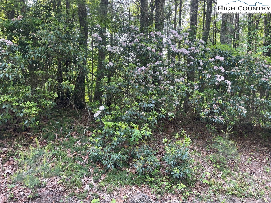 Lot 66 Daves Connector Road Jefferson, NC 28640 - Photo 16 of 20 Gallery Image 16