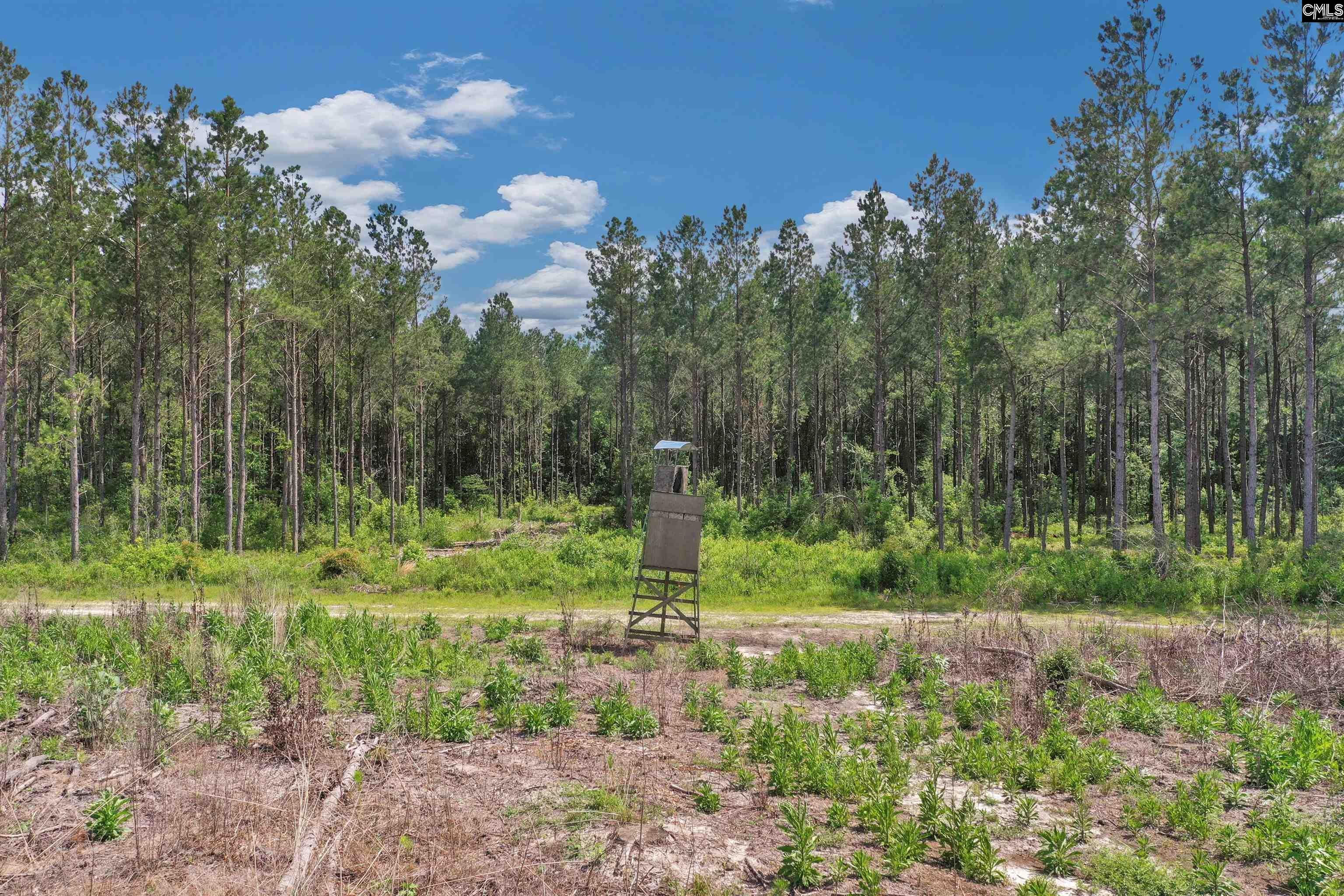 0 North Brewington Road, Unit 3C Manning, SC 29102 - Photo 10 of 43 Gallery Image 10