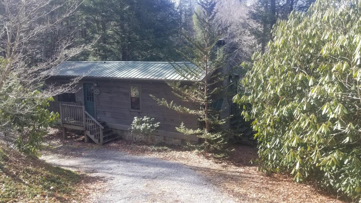 160 Ripshin Lake Road Roan Mountain, TN 37687 - Photo 3 of 45 160 Ripshin Lake