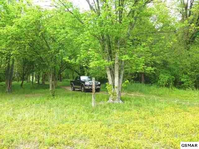 12 Ernie Roberts Road Rutledge, TN 37861 - Photo 13 of 32 Gallery Image 13